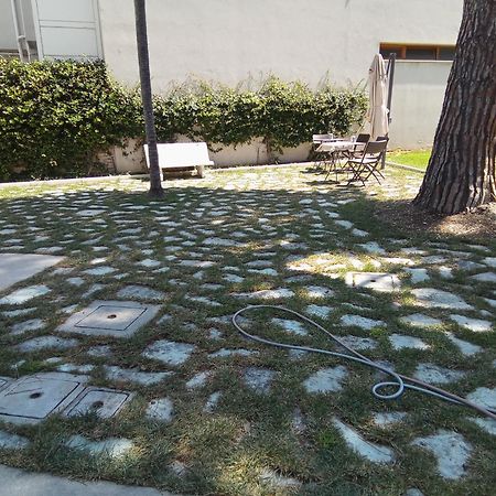 B&B Villa Tozza 西尼加利亚 外观 照片